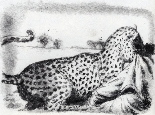 'Игра леопарда и пантеры'