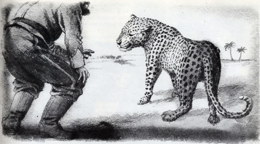 'Воспитание молодого леопарда'