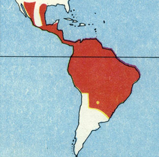 Ягуары (красный цвет) распространены к югу от границы США с Мексикой почти по всей территории Центральной и Южной Америки.