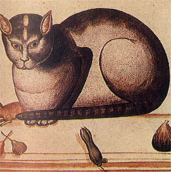 Кошка на рисунке У. Альдрованди полна скрытой силы